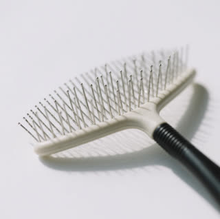 Best Ragdoll Cat Grooming Tools for Thick Fur 2025
